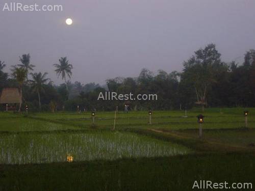 The Chedi Club boutique 44
